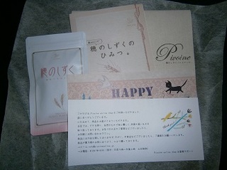 穂のしずく2.jpg
